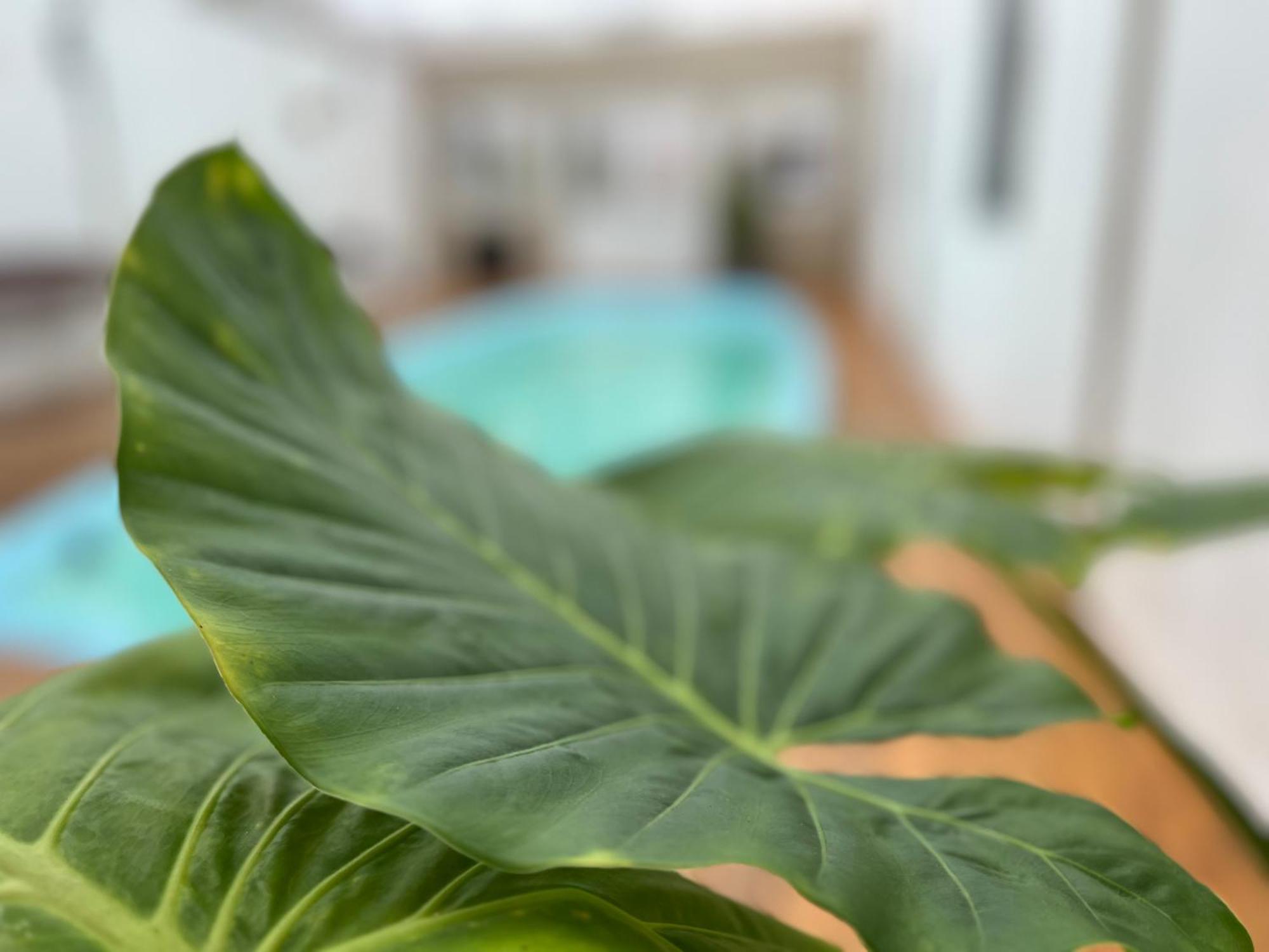 Hotel Gran Continente San Clemente del Tuyú Kültér fotó